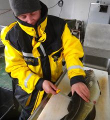 моя треска на 5кг.jpg