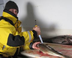 злобный Покер.jpg