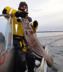 налим Покера.jpg