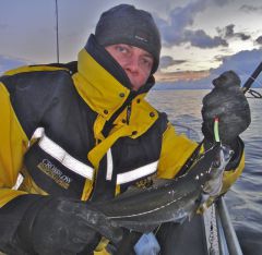 рыпка непонятная.jpg