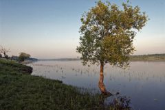 Спасская полисть (чемпионат ПКР)