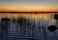 Усть-Лужский заповедник 2