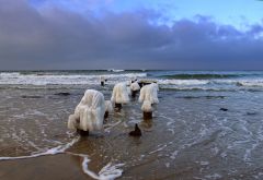 Калининградская обл. Зеленоградск