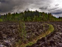 После пожара