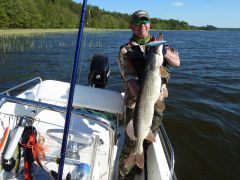 115 сжатая.JPG