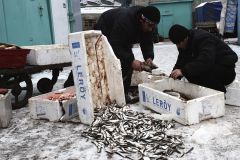 Про гастров 2