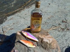 балтик вингс.JPG