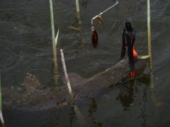 на спиннер.JPG