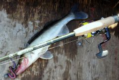 лшето2012 007.jpg