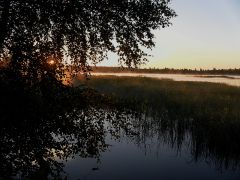 Новгородчина