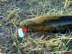 На вращалку