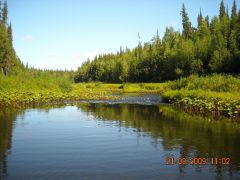 р. Большой Томан (верховья)