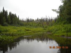 р. Большой Томан