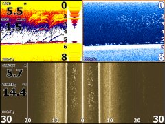Плотное дно (типа суглинка) рыбасик, и рабочее окно 7-ки
