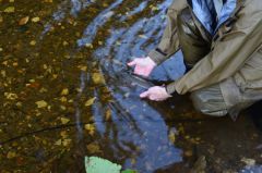 Одна из тиманских рек