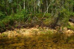 Одна из тиманских рек