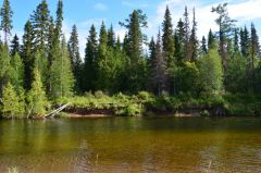 Одна из тиманских рек