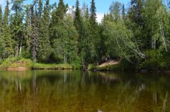 Одна из тиманских рек