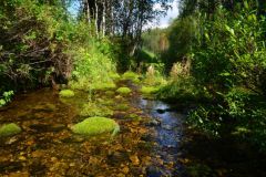 Одна из тиманских рек