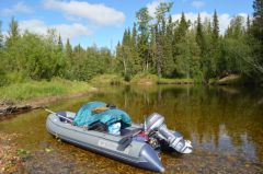 Одна из тиманских рек