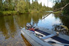 Одна из тиманских рек