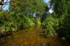 Одна из тиманских рек