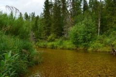 Одна из тиманских рек