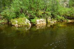 Одна из тиманских рек