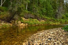 Одна из тиманских рек