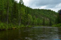 Одна из тиманских рек