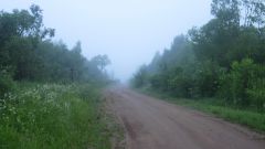 Дорога в никуда