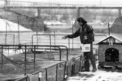 Рыбное хозяйство