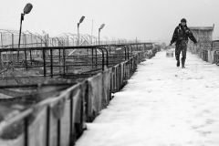 Рыбное хозяйство