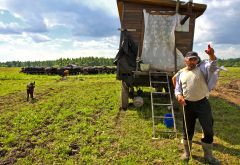 Потомственный пастух - Исмаил