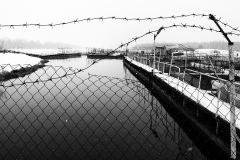 Рыбное хозяйство