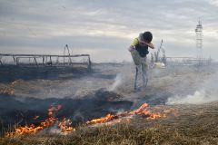 Юные волонтёры