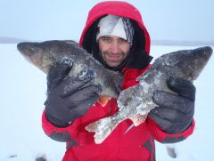 оз.курвоярви