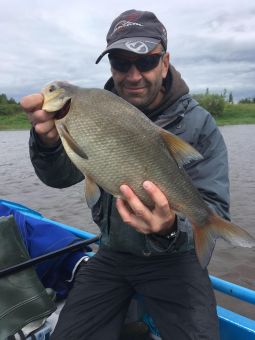 лещ на рейнс