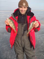 Ильмень(Ужин)