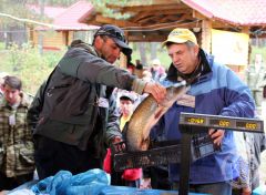 джиг пари 2013