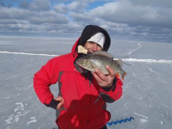 Дубно рядом