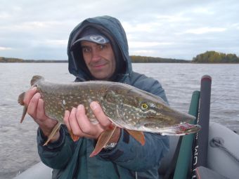 Подборовье 2017