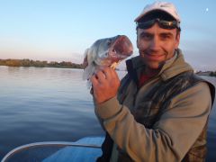 Посёйдону Виват!