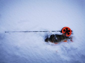 Рыбалка 2020, 11 января