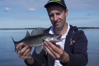 Рыбалка Иваньковское водохранилище 2017, судак 100 грамм