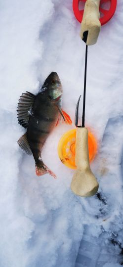 Рыбалка 26.12.2020