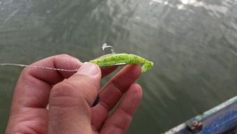 Рыбалка 29-09-2018