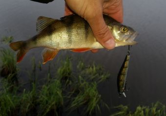 Открытие сезона летней рыбалки 22 мая 2016