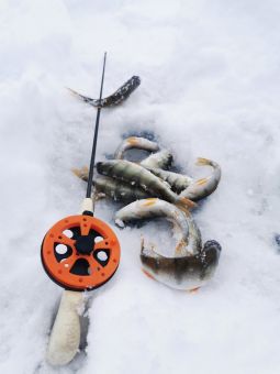 Рыбалка 2020, 11 января