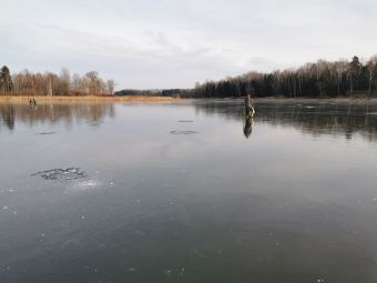 Первый лед 24 ноября 2019